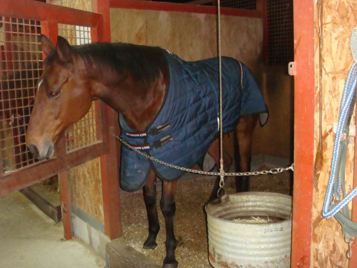 2013丹馬ライディングクラブ 125