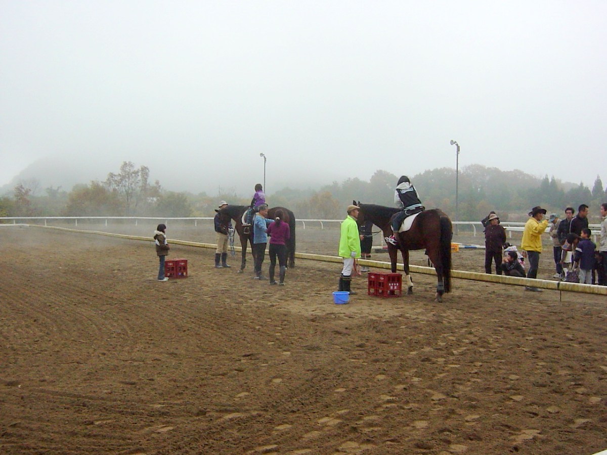 2010年乗馬体験会