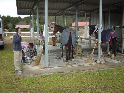 待ってろよ、きれいにして正月を迎えさせてやるからな