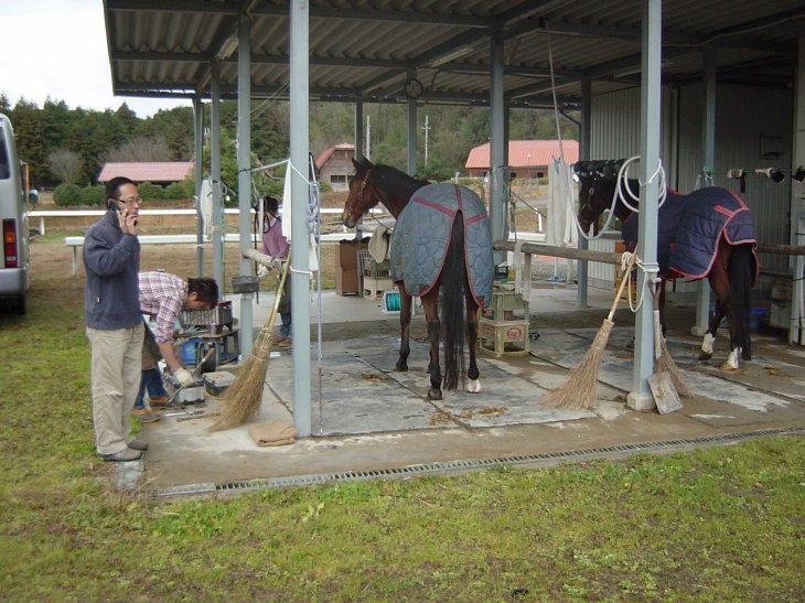 待ってろよ、きれいにして正月を迎えさせてやるからな