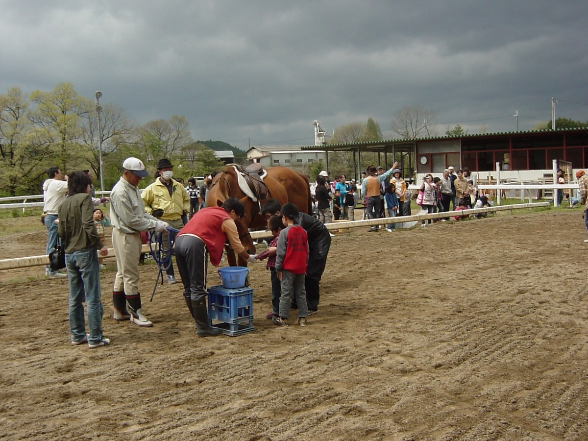 お馬さんありがとう、人参をもらう