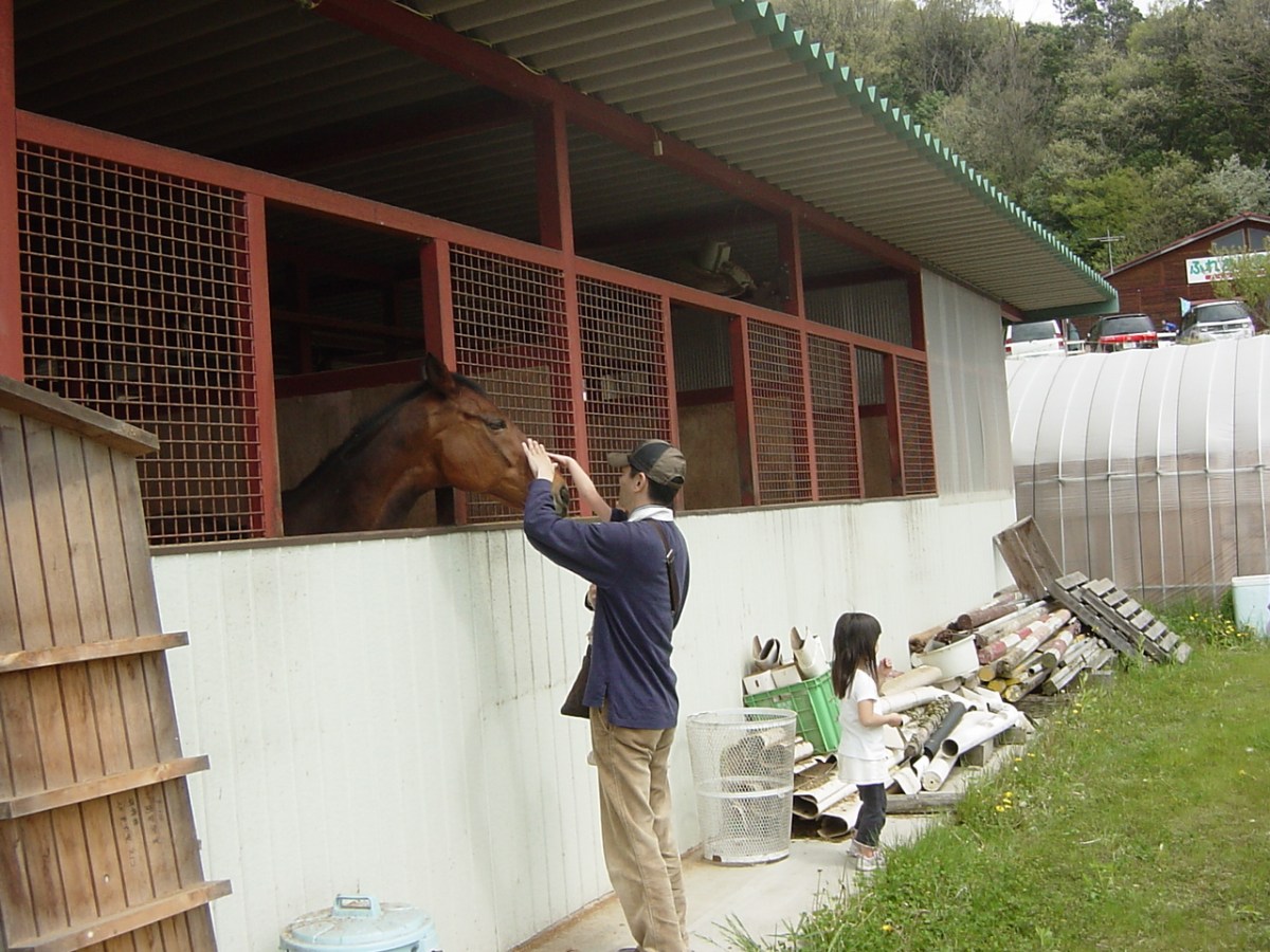 こんにちは、お休みの馬にあいさつの親子