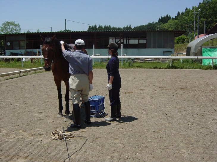 騎乗の説明を受ける
