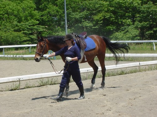 ジェニェありがとう、厩舎へ帰ろうね
