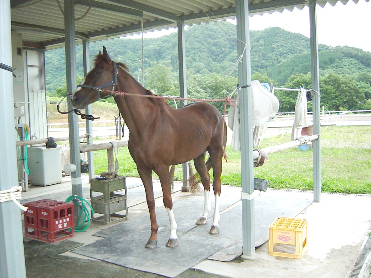 イーブンベイ１