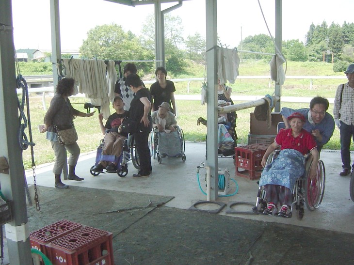 目の前に大きな馬に感激