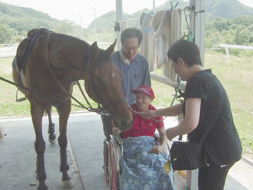 目の前に大きな馬に感激