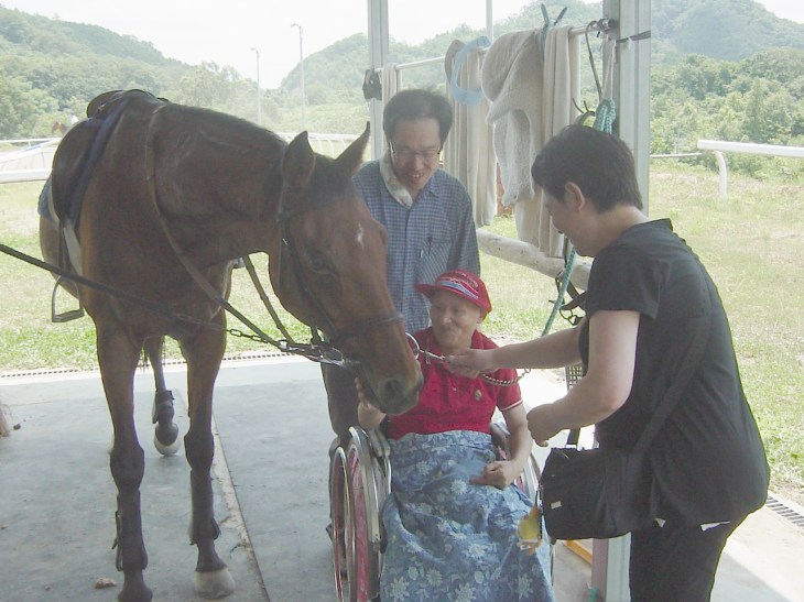 目の前に大きな馬に感激
