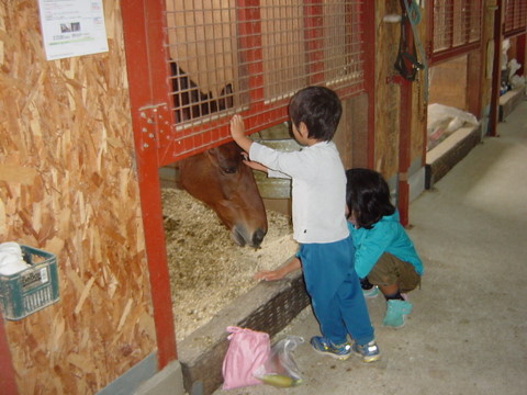 乗馬後は出番のない馬と親しく会話