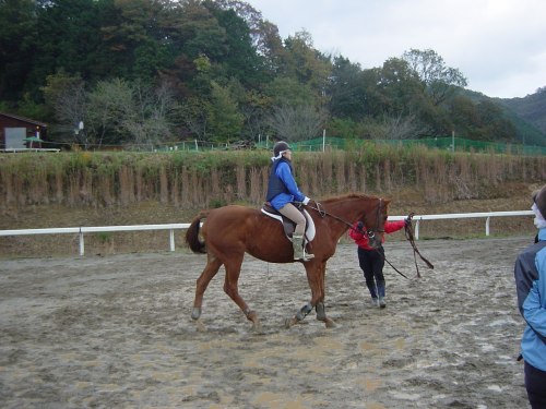 ２頭の馬で分かれて騎乗