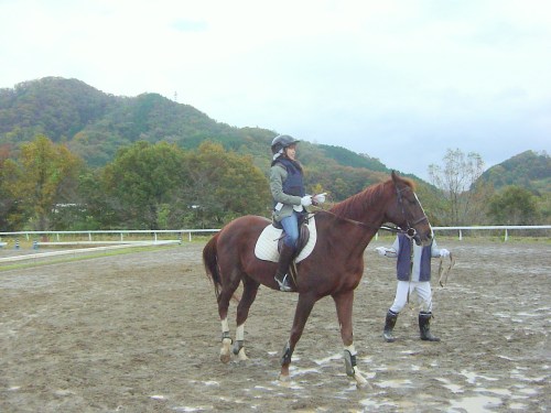 初めての乗馬で緊張気味