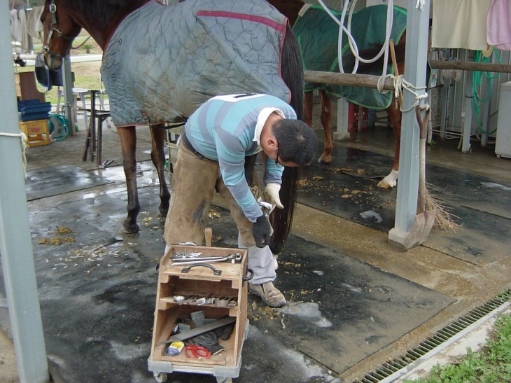 脚を持ち上げ削蹄始まり