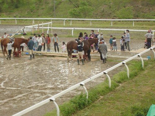 ２頭の馬で騎乗と下馬のようす
