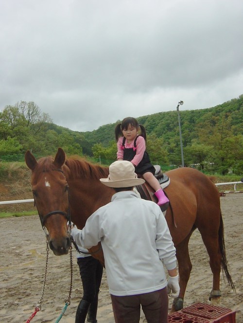 こわくなかったよ、おもしろかった