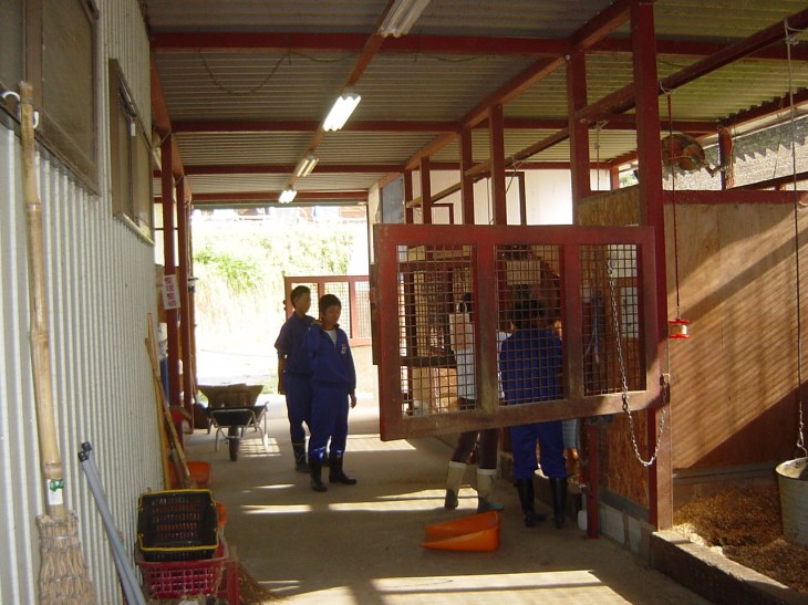 馬房の清掃ボロの仕分けだ