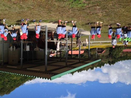 馬を出してもらって、遠巻きにおそるおそる