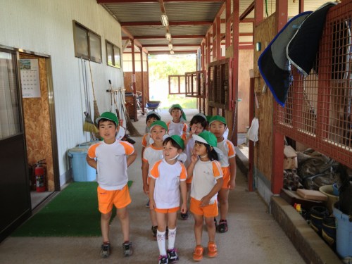 厩舎のなかを見学「馬のお部屋広かったね」「まるいうんちもあったね」