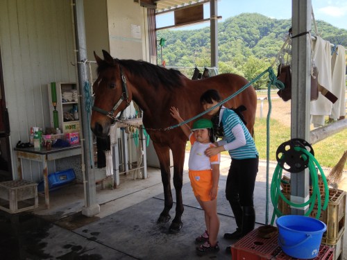 馬って、あったかーい