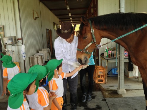 「乗せてくれてありがとう」　人参あげも少しこわいかな