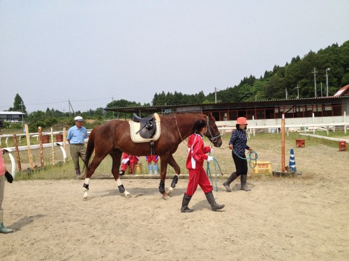 引き綱により馬の準備体操