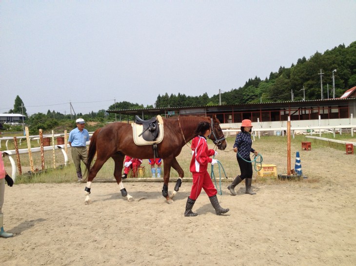 引き綱により馬の準備体操