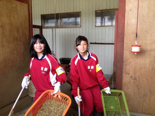 女子による馬房のボロ取り