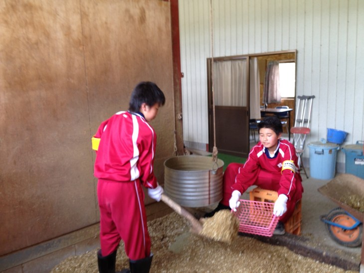 男子による馬房のボロ（糞）取り