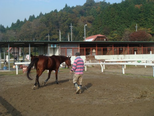 2013.11.部内戦 122