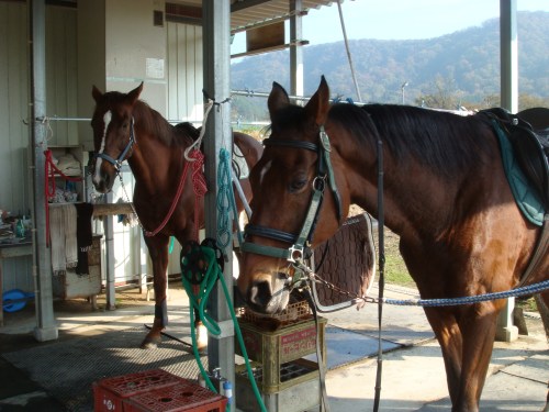 2013.11.部内戦 131