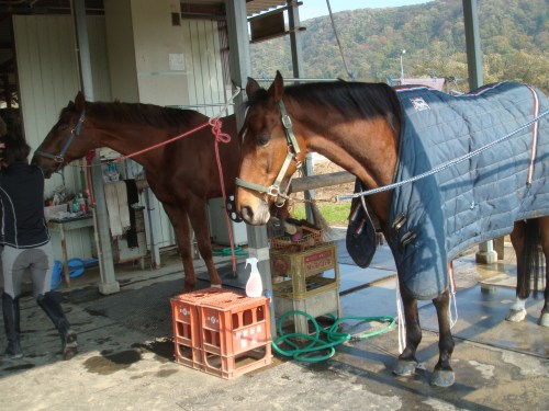 2013.11.部内戦 162