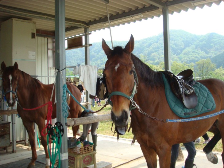 2014春ふれあい祭り 031