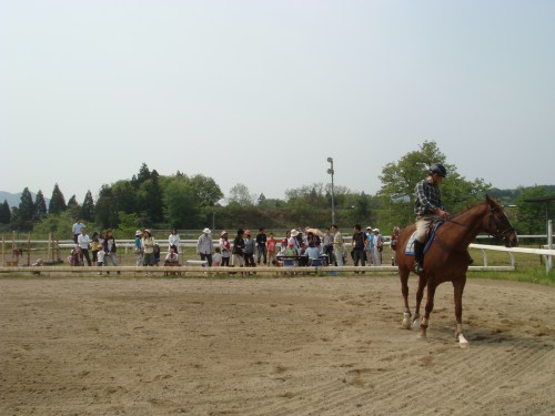 2014春ふれあい祭り 036