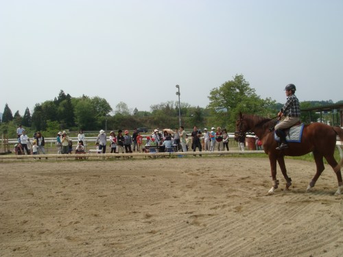 2014春ふれあい祭り 037