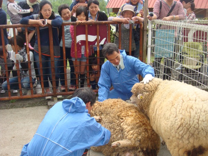 2014春ふれあい祭り 056