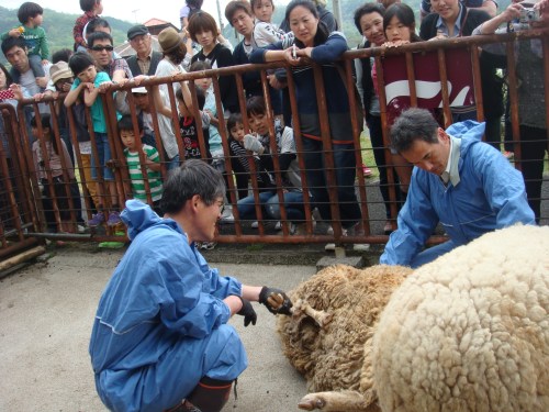 2014春ふれあい祭り 057