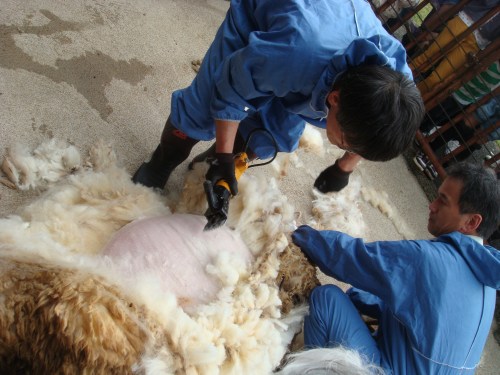 2014春ふれあい祭り 058