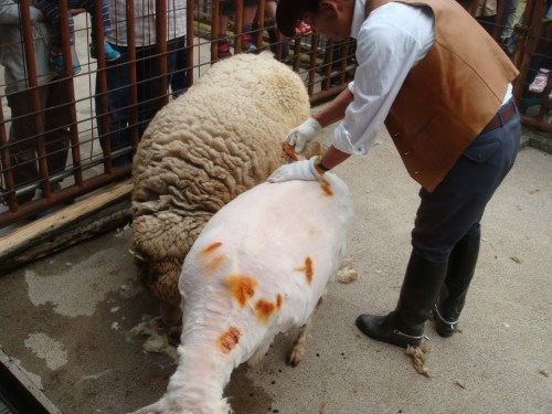 2014春ふれあい祭り 060