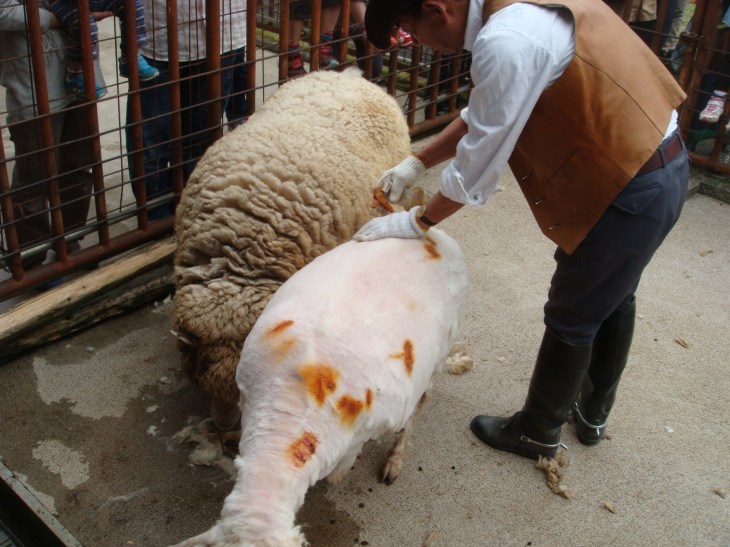 2014春ふれあい祭り 060