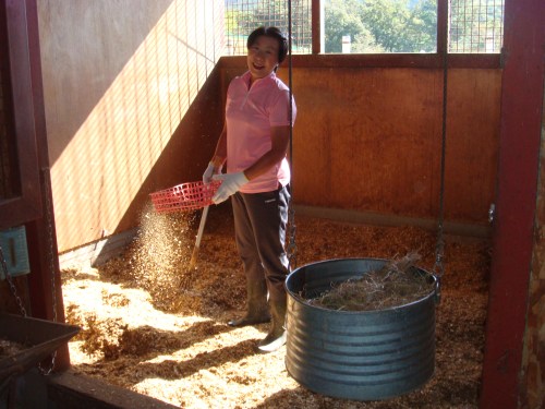 2014.9.27部内戦＆BBQ懇親会 001