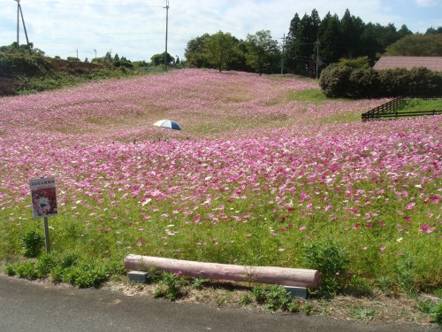 2014.9.27部内戦＆BBQ懇親会 045