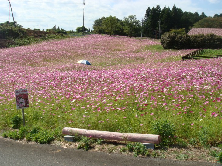 2014.9.27部内戦&BBQ懇親会 045