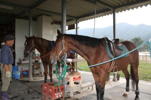 2014.10.1職場体験学習(綾部中学) 001