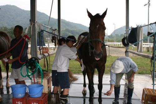 2014.10.1職場体験学習(綾部中学) 040
