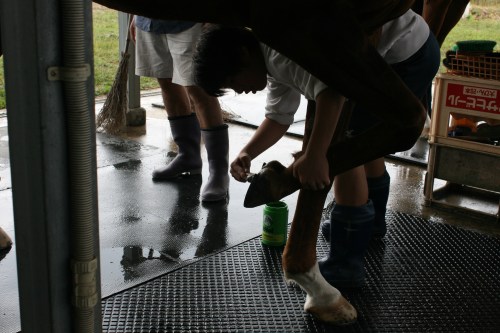 2014.10.1職場体験学習(綾部中学) 050