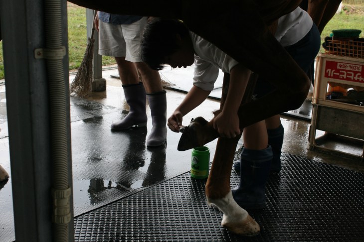 2014.10.1職場体験学習(綾部中学) 050