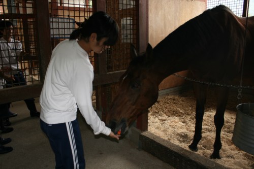 2014.10.1職場体験学習(綾部中学) 054