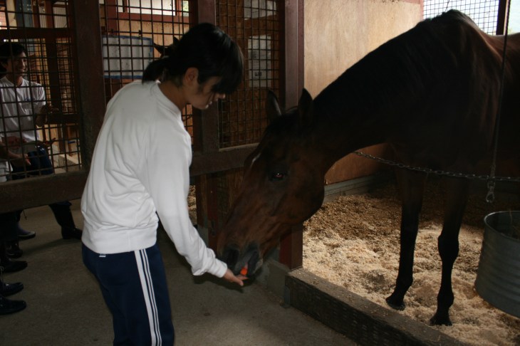 2014.10.1職場体験学習(綾部中学) 054