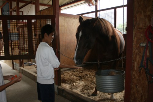 2014.10.1職場体験学習(綾部中学) 058