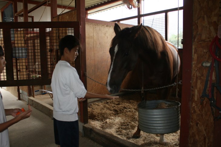 2014.10.1職場体験学習(綾部中学) 058