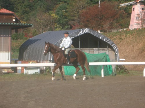 乗馬教室2014秋 第二日目 001